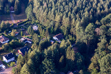 At the Sägmühlweiher from the north in Ludwigswinkel in the state Rhineland-Palatinate, Germany
