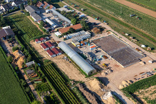 Aerial photograpy of Kugelmann Biogemüse New production hall in Kandel in the state Rhineland-Palatinate, Germany