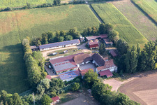 Drone recording of Kandel in the state Rhineland-Palatinate, Germany