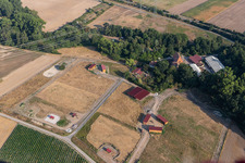 Aerial photograpy of Wanzheimer Mühle horse farm in Rheinzabern in the state Rhineland-Palatinate, Germany