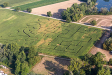 Corn maze in Leimersheim in the state Rhineland-Palatinate, Germany
