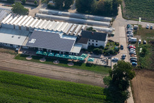 Drone recording of Zapf Farm Market in Kandel in the state Rhineland-Palatinate, Germany