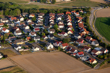 District Hardtwald in Neupotz in the state Rhineland-Palatinate, Germany from a drone