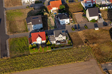 Oblique view of District Hardtwald in Neupotz in the state Rhineland-Palatinate, Germany