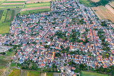 Bird's eye view of District Mechtersheim in Römerberg in the state Rhineland-Palatinate, Germany