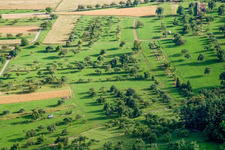 Orchard meadows in the district Pfäffingen in Ammerbuch in the state Baden-Wuerttemberg, Germany