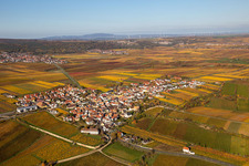 Autumnal discolored vegetation view village - view on the edge of wine yards in Herxheim am Berg in the state Rhineland-Palatinate, Germany