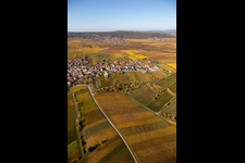 Village - view on the edge of wine yards in Weisenheim am Berg in the state Rhineland-Palatinate, Germany