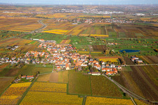 Grounds of the Golf course at Golfgarten Deutsche Weinstrasse - Dackenheim - GOLF absolute in Dackenheim in the state Rhineland-Palatinate, Germany
