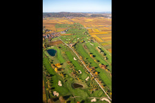 Oblique view of Grounds of the Golf course at Golfgarten Deutsche Weinstrasse - Dackenheim - GOLF absolute in Dackenheim in the state Rhineland-Palatinate, Germany