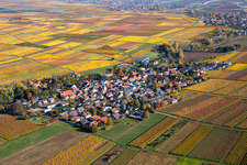 Autumnal discolored vegetation view agricultural land and field borders surround the settlement area of the village in Bissersheim in the state Rhineland-Palatinate, Germany
