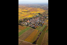 Aerial photograpy of Autumnal discolored vegetation view agricultural land and field borders surround the settlement area of the village in Bissersheim in the state Rhineland-Palatinate, Germany