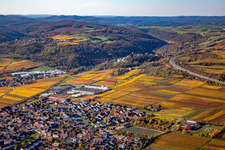 Autumnal discolored vegetation view town center on the edge of vineyards and wineries in the wine-growing area in Sausenheim in the state Rhineland-Palatinate, Germany
