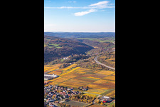 Autumnal discolored vineyards in the wine-growing area between Sausenheim and Neuleiningen in the state Rhineland-Palatinate, Germany