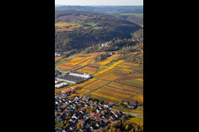 Aerial view of Neuleiningen in the state Rhineland-Palatinate, Germany