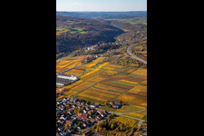 Aerial photograpy of Autumnal discolored vineyards in the wine-growing area between Sausenheim and Neuleiningen in the state Rhineland-Palatinate, Germany