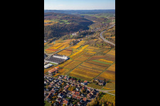 Oblique view of Neuleiningen in the state Rhineland-Palatinate, Germany