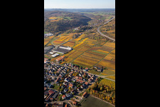 Oblique view of Autumnal discolored vineyards in the wine-growing area between Sausenheim and Neuleiningen in the state Rhineland-Palatinate, Germany