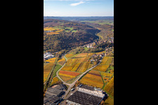 Neuleiningen in the state Rhineland-Palatinate, Germany from the plane