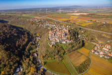 Autumnal discolored vegetation view town center on the edge of vineyards and wineries in the wine-growing area in Neuleiningen in the state Rhineland-Palatinate, Germany