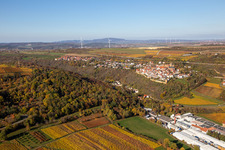 Aerial view of Autumnal discolored vineyards in the wine-growing area around the premises of Gechem GmbH & Co. KG in Neuleiningen in the state Rhineland-Palatinate, Germany