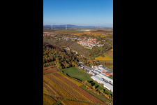Aerial photograpy of Autumnal discolored vineyards in the wine-growing area around the premises of Gechem GmbH & Co. KG in Neuleiningen in the state Rhineland-Palatinate, Germany