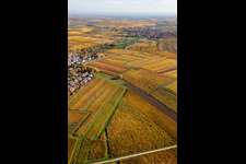 Oblique view of Kleinkarlbach in the state Rhineland-Palatinate, Germany