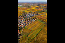 Kleinkarlbach in the state Rhineland-Palatinate, Germany from above
