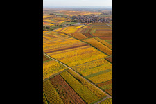 District Jerusalemsberg in Kirchheim an der Weinstraße in the state Rhineland-Palatinate, Germany out of the air