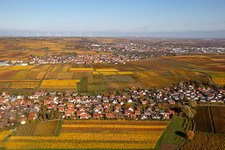 Autumnal discolored wineyards betweeen Kleinkarlbach and Sausenheim in the state Rhineland-Palatinate, Germany