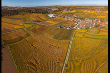 Kleinkarlbach in the state Rhineland-Palatinate, Germany from the plane