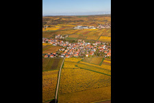 Bird's eye view of Kleinkarlbach in the state Rhineland-Palatinate, Germany