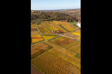 Kleinkarlbach in the state Rhineland-Palatinate, Germany from the drone perspective