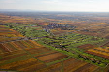 Grounds of the Golf course at Golfgarten Deutsche Weinstrasse - Dackenheim - GOLF absolute in Dackenheim in the state Rhineland-Palatinate, Germany out of the air