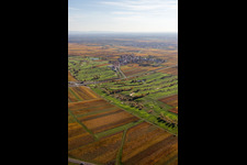 Grounds of the Golf course at Golfgarten Deutsche Weinstrasse - Dackenheim - GOLF absolute in Dackenheim in the state Rhineland-Palatinate, Germany seen from above