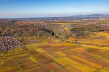 Autumnal discolored vegetation view structures on agricultural fields in Battenberg (Pfalz) in the state Rhineland-Palatinate, Germany