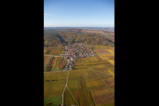 Autumnal discolored vegetation view of the rhine valley landscape surrounded by Palatinian mountains in Bobenheim am Berg in the state Rhineland-Palatinate, Germany