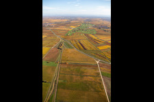 Golf Garden German Wine Route in Dackenheim in the state Rhineland-Palatinate, Germany out of the air