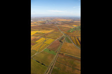 District Jerusalemsberg in Kirchheim an der Weinstraße in the state Rhineland-Palatinate, Germany from the plane