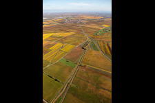 Bird's eye view of District Jerusalemsberg in Kirchheim an der Weinstraße in the state Rhineland-Palatinate, Germany