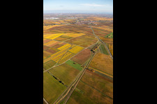District Jerusalemsberg in Kirchheim an der Weinstraße in the state Rhineland-Palatinate, Germany viewn from the air