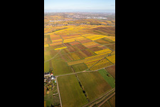 Kleinkarlbach in the state Rhineland-Palatinate, Germany seen from a drone