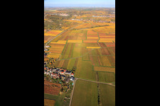 Aerial photograpy of Kleinkarlbach in the state Rhineland-Palatinate, Germany