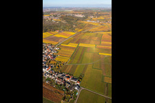 Oblique view of Kleinkarlbach in the state Rhineland-Palatinate, Germany