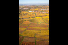 Kleinkarlbach in the state Rhineland-Palatinate, Germany from above
