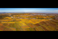 Panoramic perspective of the autumnal colored village view in Kleinkarlbach in the state Rhineland-Palatinate, Germany