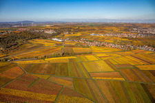 Leiningerland Kleinkarlbach in Kleinkarlbach in the state Rhineland-Palatinate, Germany
