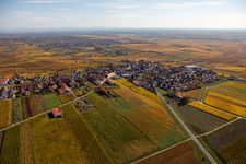 Aerial view of Autumnal discolored vegetation view village - view on the edge of wine yards in Herxheim am Berg in the state Rhineland-Palatinate, Germany