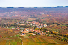 Aerial view of Fields of wine cultivation landscape in indian summer colours in Heuchelheim-Klingen in the state Rhineland-Palatinate, Germany