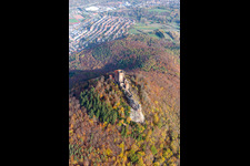 Autumnal discolored vegetation view of the castle of Burg Trifels in Annweiler am Trifels in the state Rhineland-Palatinate